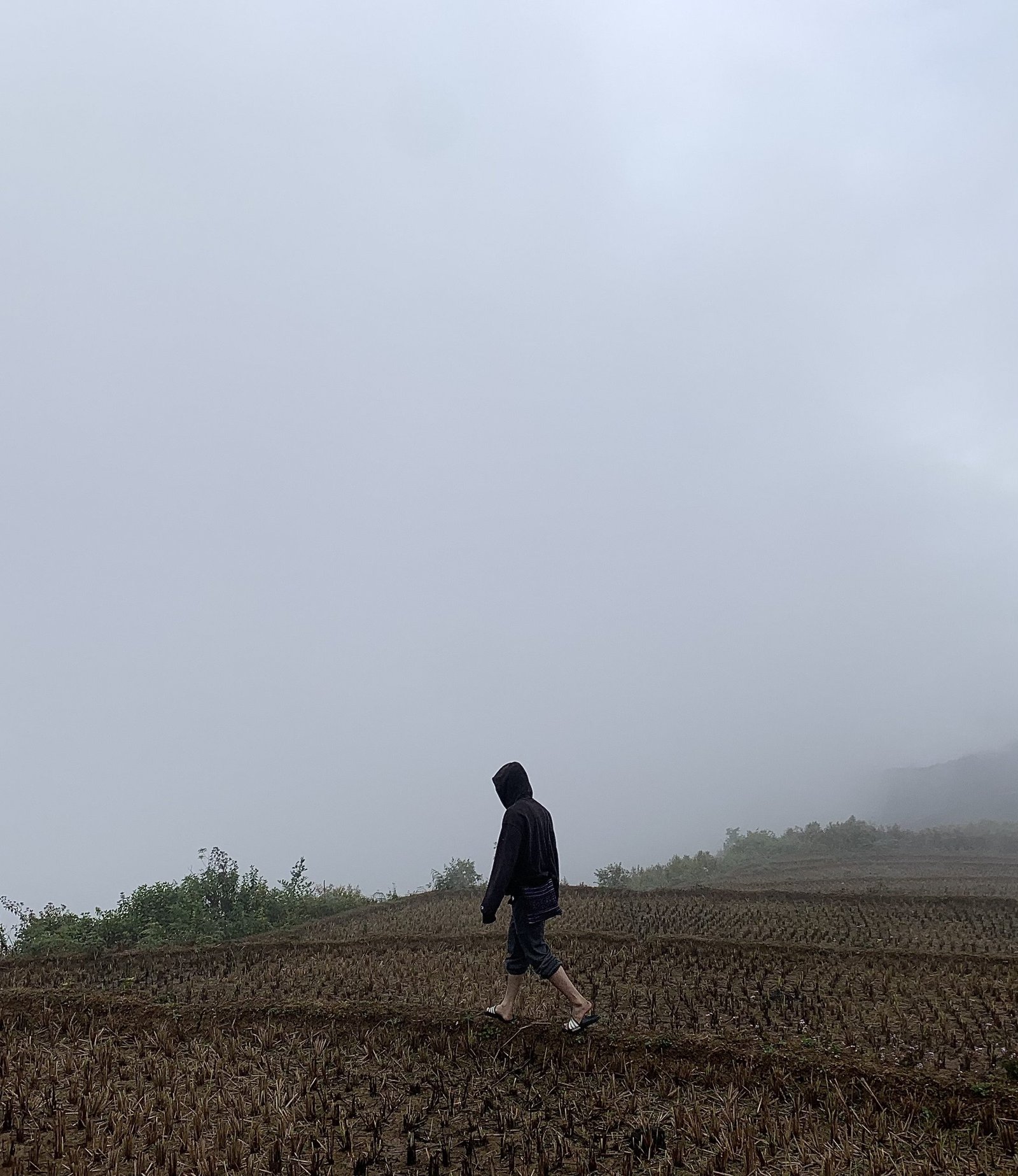 Chong đèn tìm hi vọng.